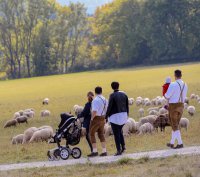 19. Schäferfest in Albstadt