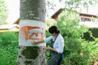 Pfronten als Inspirationsstätte für Künstler, Handwerker und Tüftler