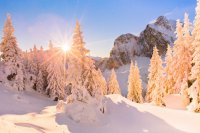 Einmal Schneespaß und zurück, bitte!